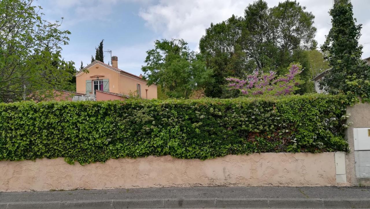 Lolifan En Provence Bed & Breakfast Brignoles Bagian luar foto