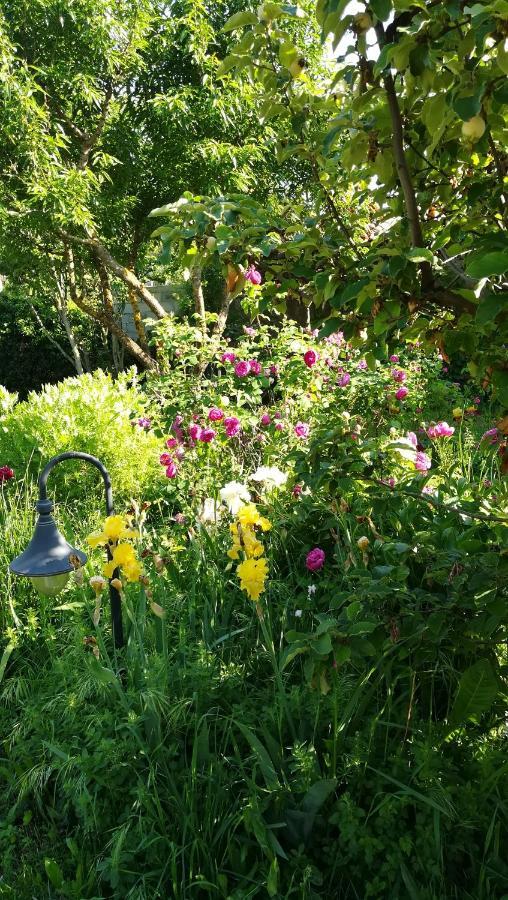 Lolifan En Provence Bed & Breakfast Brignoles Bagian luar foto