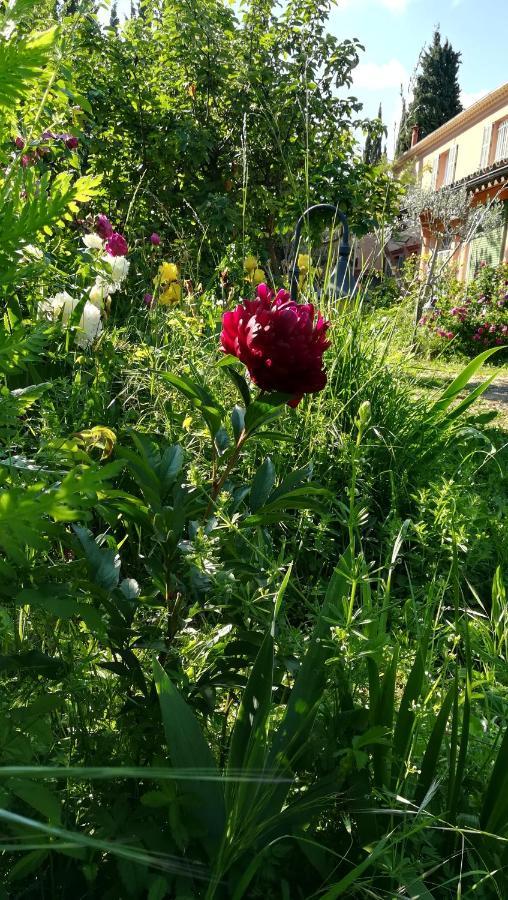 Lolifan En Provence Bed & Breakfast Brignoles Bagian luar foto